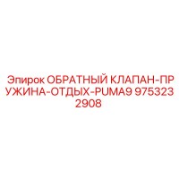 9753232908 ОБРАТНЫЙ КЛАПАН-ПРУЖИНА-ОТДЫХ-PUMA9 Epiroc