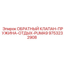 Фото обратного клапана с пружиной отдыха Epiroc PUMA9 артикул 9753232908