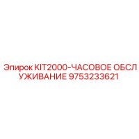 9753233621 KIT2000-ЧАСОВОЕ ОБСЛУЖИВАНИЕ Epiroc