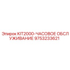 9753233621 KIT2000-ЧАСОВОЕ ОБСЛУЖИВАНИЕ Epiroc