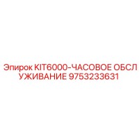 9753233631 KIT6000-ЧАСОВОЕ ОБСЛУЖИВАНИЕ Epiroc