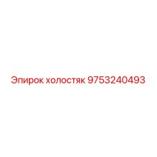 9753240493 Холостой ролик Эпирок
