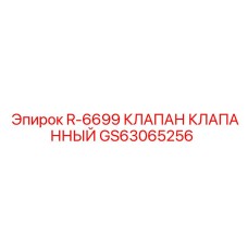 GS63065256 R-6699 КЛАПАН КЛАПАННЫЙ Epiroc