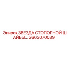 GS63070089 ЗВЕЗДА СТОПОРНОЙ ШАЙБЫ Epiroc