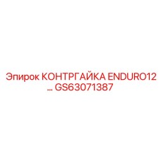 GS63071387 КОНТРГАЙКА ENDURO12 Epiroc