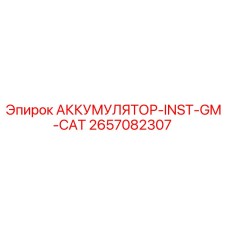 2657082307 АККУМУЛЯТОР-INST-GM-CAT Epiroc