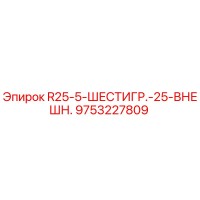9753227809 R25-5-ШЕСТИГР.-25-ВНЕШН. Epiroc