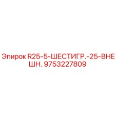 9753227809 R25-5-ШЕСТИГР.-25-ВНЕШН. Epiroc