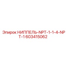 603415062 НИППЕЛЬ-NPT-1-1-4-NPT-1 Epiroc