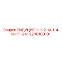 2236100181 РИДУЦИОН-1-2-М-1-4-Ф-ФГ-241 Epiroc