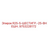 9753228172 R25-5-ШЕСТИГР.-25-ВНЕШН. Epiroc