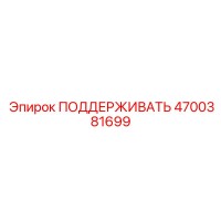 4700381699 ПОДДЕРЖИВАТЬ - Epiroc