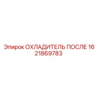1621869783 ОХЛАДИТЕЛЬ ПОСЛЕ (Epiroc)