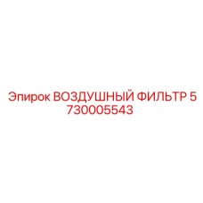5730005543 ВОЗДУШНЫЙ ФИЛЬТР Epiroc