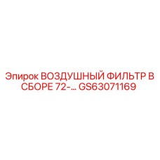 GS63071169 ВОЗДУШНЫЙ ФИЛЬТР В СБОРЕ 72 Epiroc