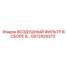 GS12429373 ВОЗДУШНЫЙ ФИЛЬТР В СБОРЕ 8 Epiroc