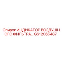 GS12065487 ИНДИКАТОР ВОЗДУШНОГО ФИЛЬТРА Epiroc
