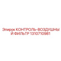 1310710981 КОНТРОЛЬ-ВОЗДУШНЫЙ ФИЛЬТР Epiroc
