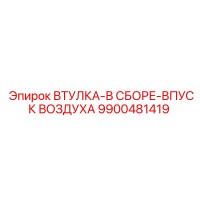 9900481419 ВТУЛКА-В СБОРЕ-ВПУСК ВОЗДУХА Epiroc