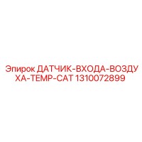 1310072899 ДАТЧИК-ВХОДА-ВОЗДУХА-TEMP-CAT Epiroc