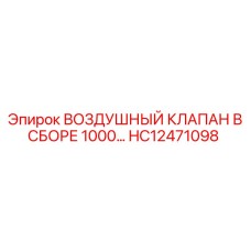 HC12471098 ВОЗДУШНЫЙ КЛАПАН В СБОРЕ 1000 Epiroc