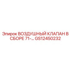 GS12450232 ВОЗДУШНЫЙ КЛАПАН В СБОРЕ 71 Epiroc