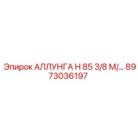 8973036197 АЛЛУНГА H 85 3/8 М/… Эпирок