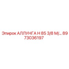 8973036197 АЛЛУНГА H 85 3/8 М/… Эпирок