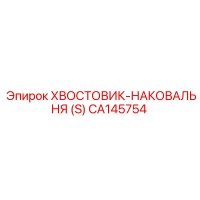 CA145754 ХВОСТОВИК-НАКОВАЛЬНЯ (S) Epiroc
