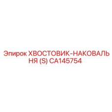CA145754 ХВОСТОВИК-НАКОВАЛЬНЯ (S) Epiroc