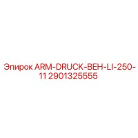 2901325555 ARM-DRUCK-BEH-LI-250-11 Epiroc