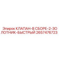 2657476723 КЛАПАН-В СБОРЕ-2-ЗОЛОТНИК-БЫСТРЫЙ Epiroc