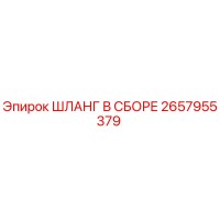2657955379 ШЛАНГ В СБОРЕ Epiroc