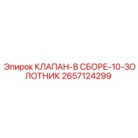 2657124299 КЛАПАН-В СБОРЕ-10-ЗОЛОТНИК Epiroc