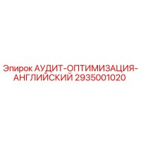 2935001020 АУДИТ-ОПТИМИЗАЦИЯ-АНГЛИЙСКИЙ Epiroc