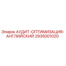 2935001020 АУДИТ-ОПТИМИЗАЦИЯ-АНГЛИЙСКИЙ Epiroc