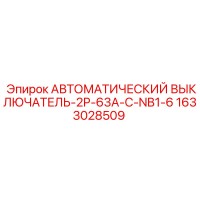 1633028509 АВТОМАТИЧЕСКИЙ ВЫКЛЮЧАТЕЛЬ-2P-63A-C-NB1-6 Epiroc