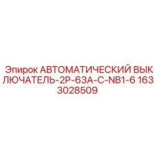 Двухполюсный автоматический выключатель Epiroc 63A, артикул 1633028509 для буровых установок