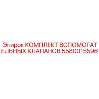 5580015596 Комплект вспомогательных клапанов Epiroc