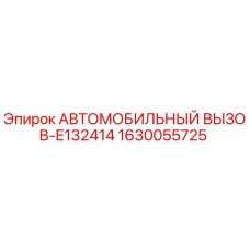 1630055725 АВТОМОБИЛЬНЫЙ ВЫЗОВ-E132414 Epiroc
