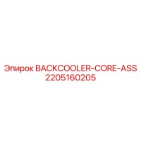 2205160205 BACKCOOLER-CORE-ASS Epiroc