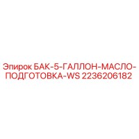2236206182 БАК-5-ГАЛЛОН-МАСЛО-ПОДГОТОВКА-WS Epiroc