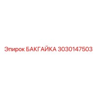 3030147503 БАКГАЙКА Epiroc