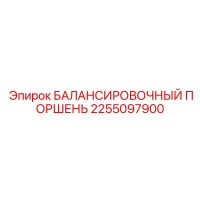 2255097900 БАЛАНСИРОВОЧНЫЙ ПОРШЕНЬ Epiroc