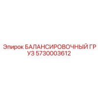 5730003612 БАЛАНСИРОВОЧНЫЙ ГРУЗ | Epiroc