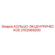2102069200 КОЛЬЦО-ЭКЦЕНТРИЧЕСКОЕ Epiroc