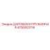 4700923116 ШАРОВАЯ И ПРУЖИННАЯ Epiroc