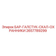 2657789299 БАР-ГАЛСТУК-СКАЛ-ОХРАННИКИ Epiroc