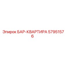 57951576 БАР-КВАРТИРА Epiroc