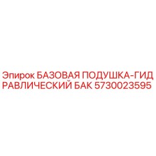 5730023595 БАЗОВАЯ ПОДУШКА-ГИДРАВЛИЧЕСКИЙ БАК (Epiroc)